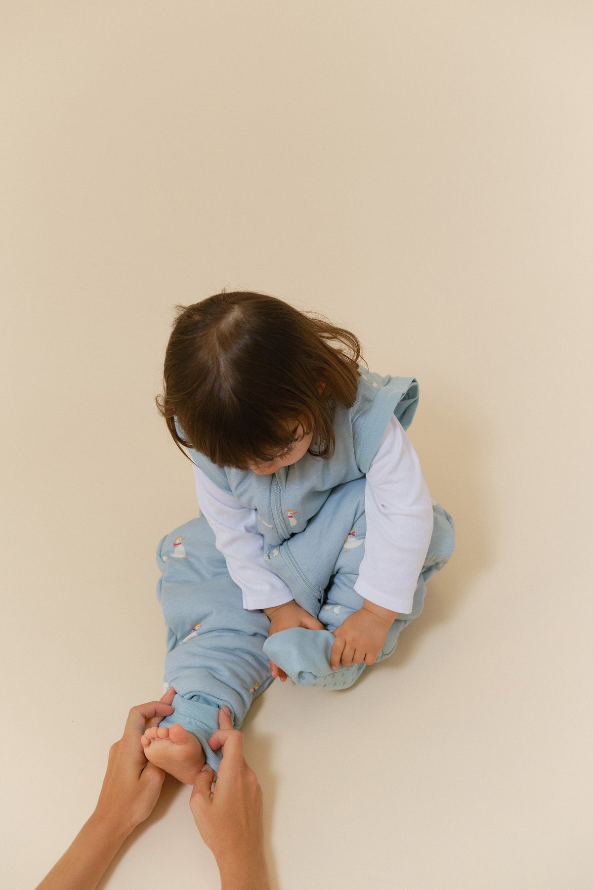 Combinaison de sommeil avec manches et chaussettes - Famille Canard - TOG 2.5