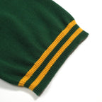 Pull vintage en tricot jacquard tigre vert pour homme